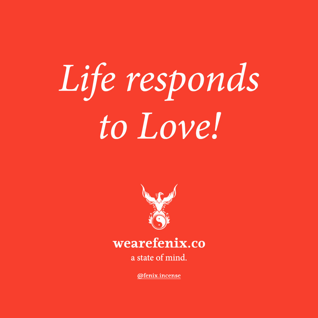 LIFE RESPONDS TO LOVE