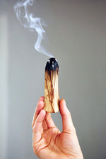 Palo Santo Wood - Certified by SERFOR